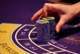 116bet login