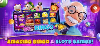 116bet login